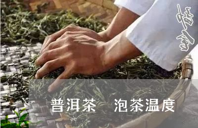 普洱茶 泡茶温度/2023041080502